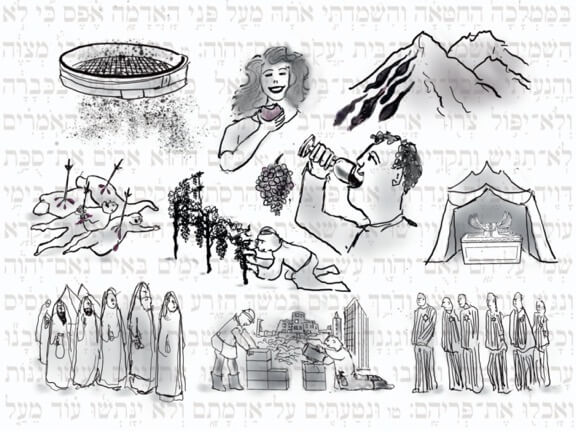 Achrai Haftorah – Amos 9:7-15